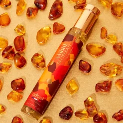 Adopt Ambre Talisman| Boise