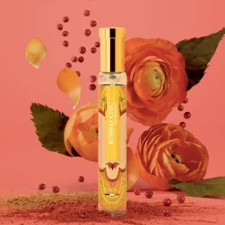 Adopt Bombay Chic| Boise