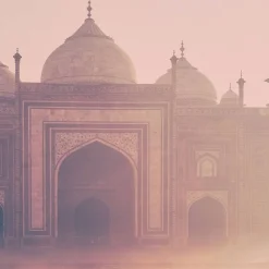 Adopt Bombay Chic| Boise