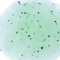 Adopt Coco Lada| Exfoliant