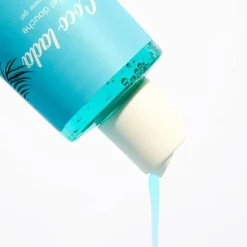 Adopt Coco Lada| Nettoyage