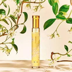 Adopt Jasmin Divin| Floral