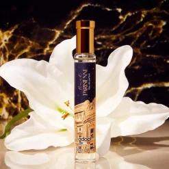 Adopt Nuit Parisienne| Boise