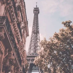 Adopt Paris Reverie| Floral