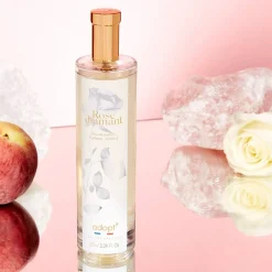 Adopt Rose Diamant| Floral