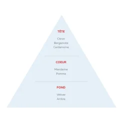 Adopt Sport Urbain| Eau De Parfum