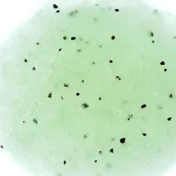 Adopt Verveine Petillante| Exfoliant