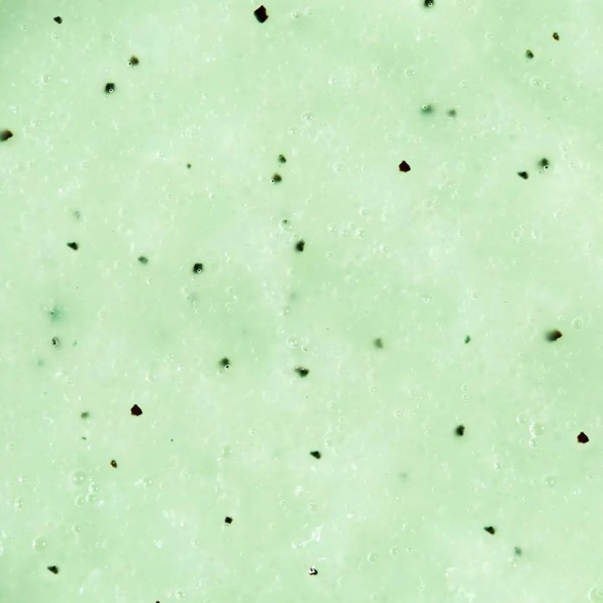 Adopt Verveine Petillante| Exfoliant