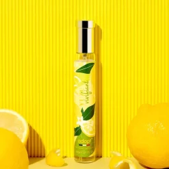 Adopt Yuzu Vivant| Frais